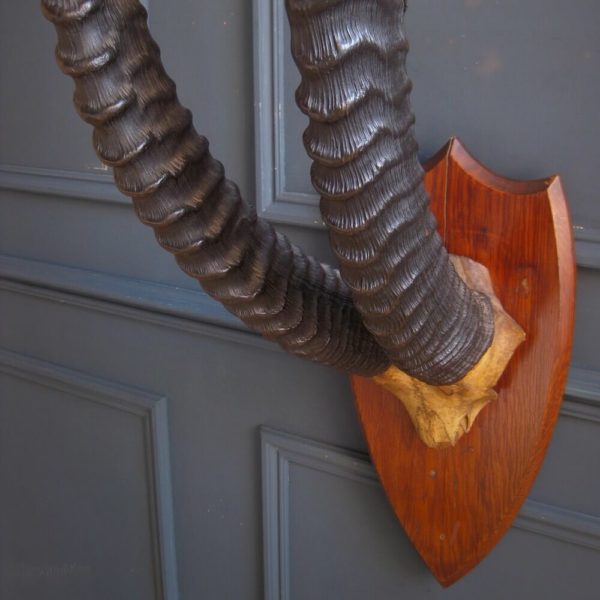 Antique horns