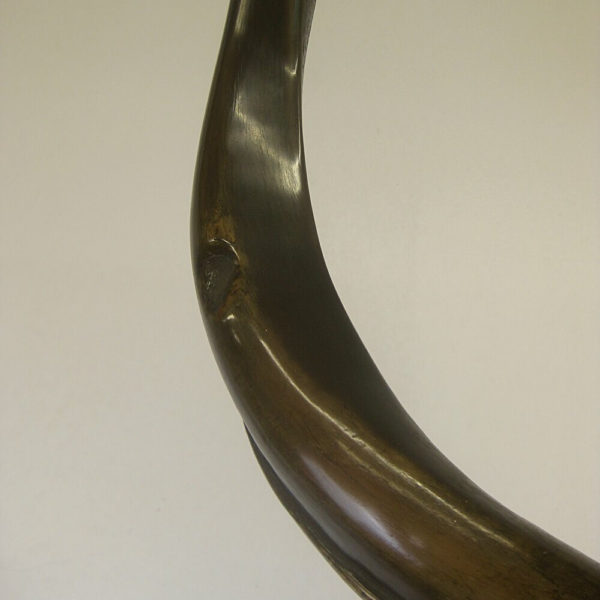 antique horns